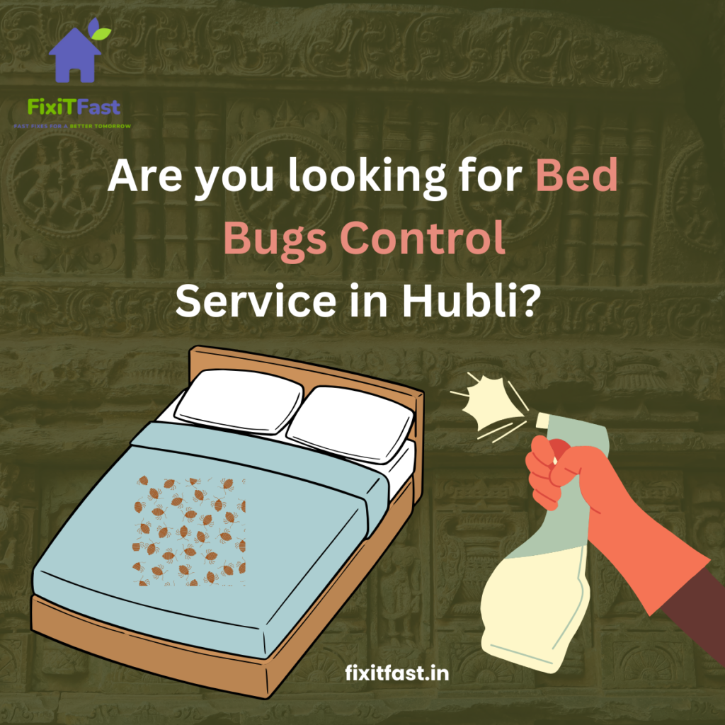 bed bugs