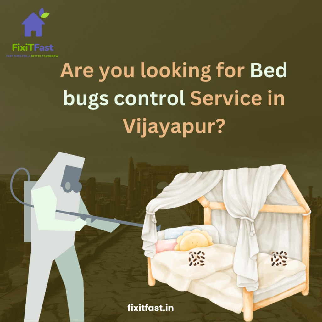 bed bugs
