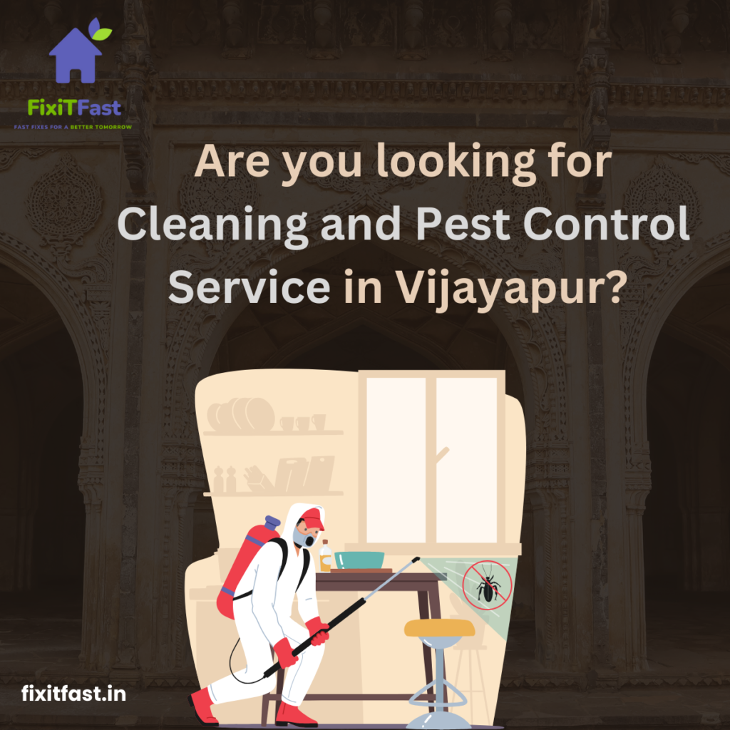 cleaning and pest control