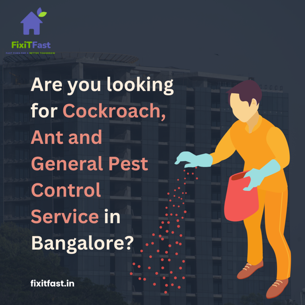 cockroach