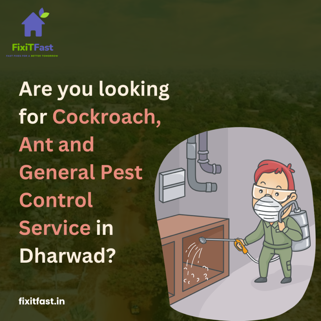 cockroach ant