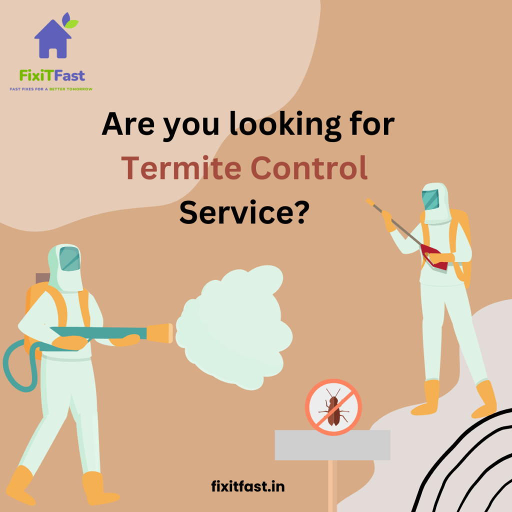 termite